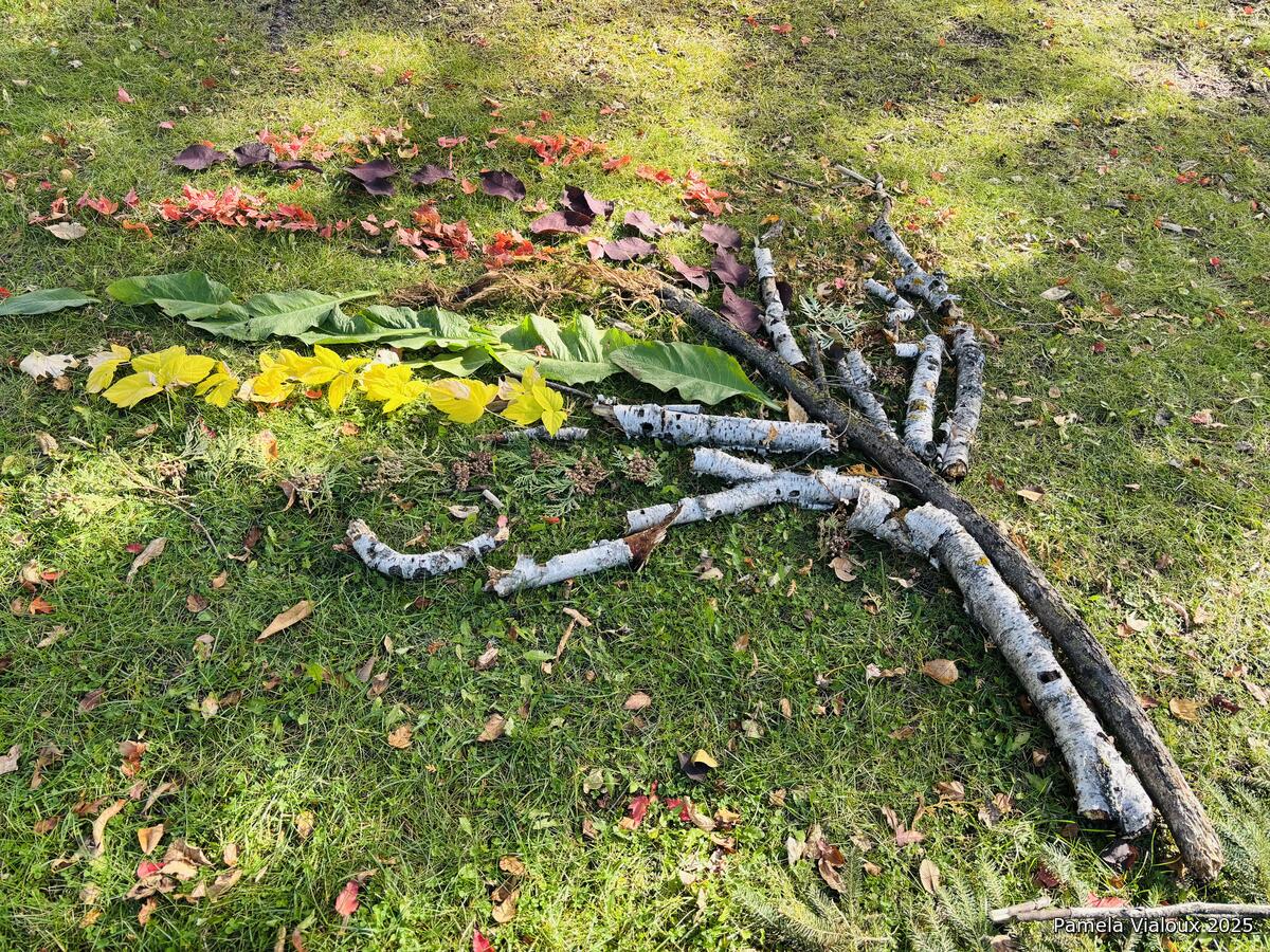 Nature arrangement of branches and autumn leaves on grass